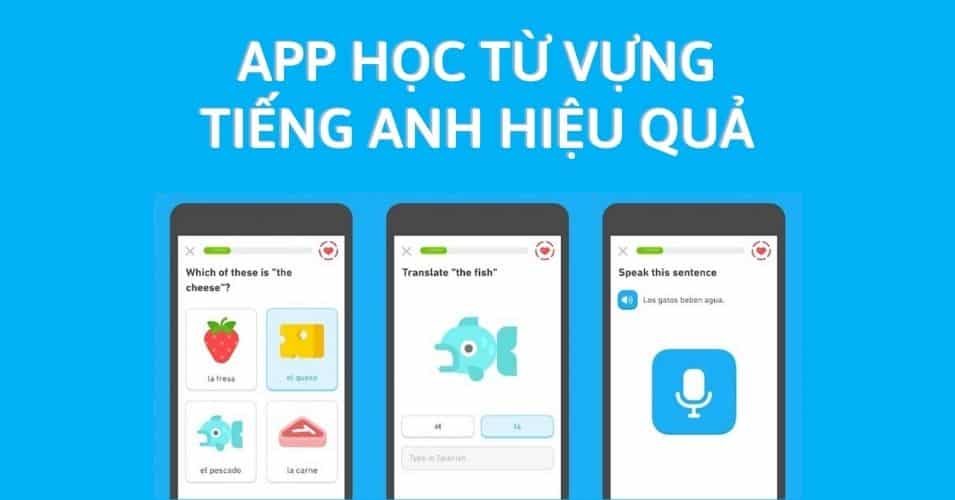 App nào giúp học từ vựng tiếng anh miễn phí hàng ngày hiệu quả? Tăng vốn từ nhanh không tốn tiền!