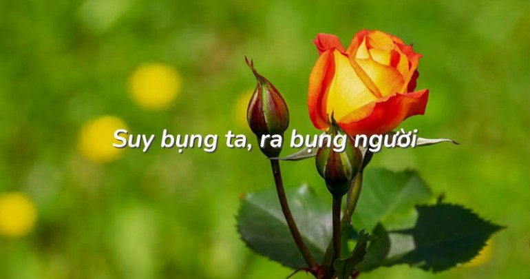 Tìm hiểu suy bụng ta ra bụng người tiếng anh là gì? Giải thích đơn giản dễ hiểu cho bạn.